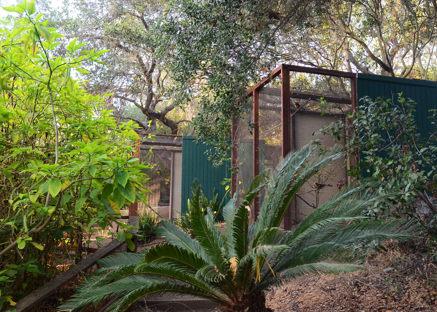 //emeraldforestbirdgardens.com/wp-content/uploads/2025/05/Toucan-aviaries-greenery-cc.jpg