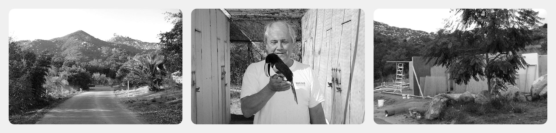 //emeraldforestbirdgardens.com/wp-content/uploads/2025/09/bw-filmstrip-3-light.jpg