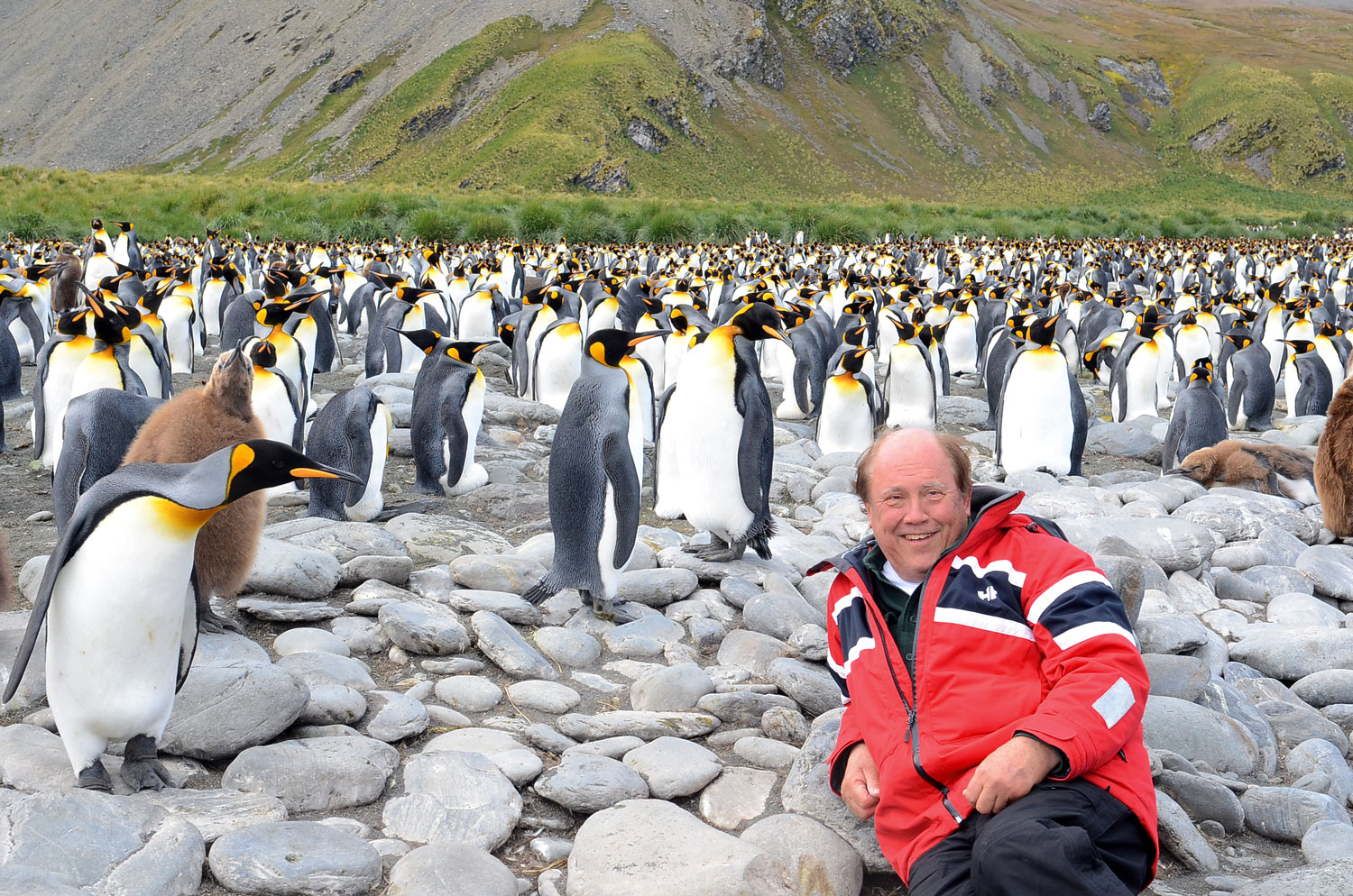 //emeraldforestbirdgardens.com/wp-content/uploads/2025/10/Jerry-king-penguins.jpg